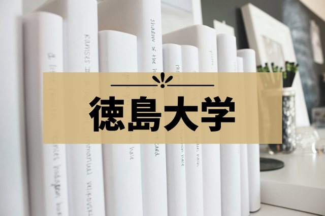 徳島大学 受験に便利なおすすめホテル集 常三島 蔵本キャンパスに近いのは モチコの主婦知恵べんり帳